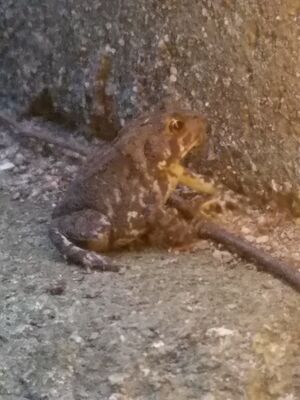 20170723_205733.jpg