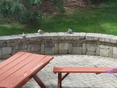 20170725_105950.jpg