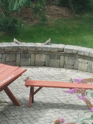 20170725_110018.jpg
