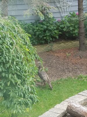 20170727_145745.jpg