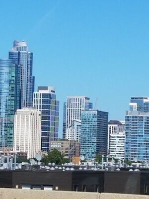 20170729_155244.jpg