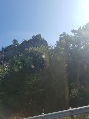 20170730_085702.jpg
