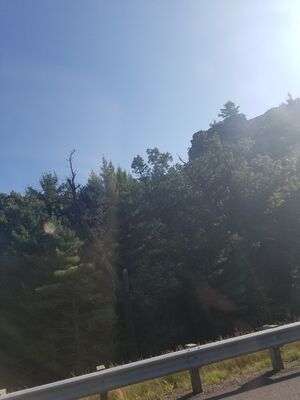 20170730_085703.jpg