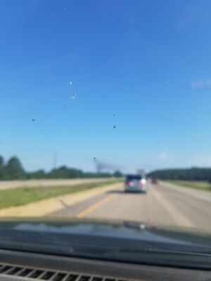 20170730_090911.jpg