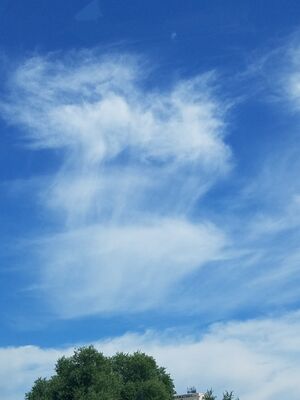 20170730_114614.jpg