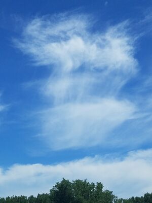 20170730_114618.jpg
