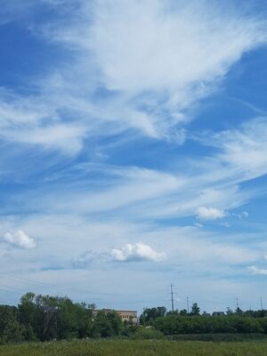 20170730_120643.jpg