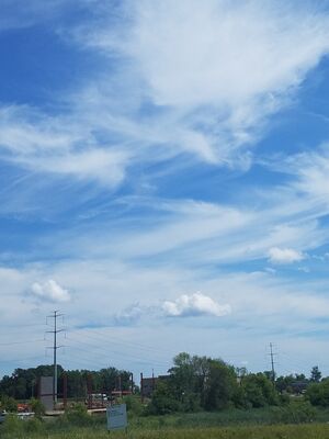 20170730_120644.jpg