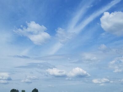 20170730_123205.jpg