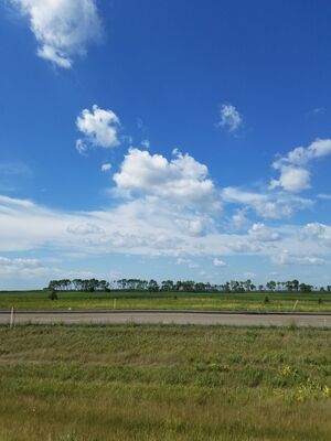 20170730_160124.jpg