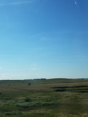 20170730_192137.jpg