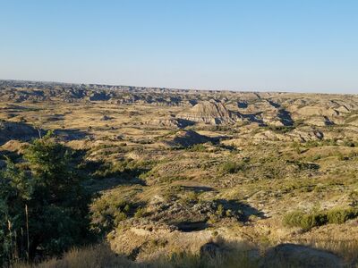 20170730_192239.jpg