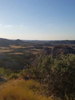 20170730_192249.jpg