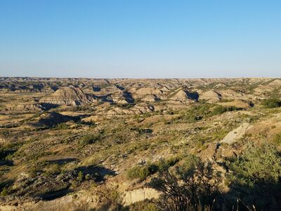 20170730_192329.jpg
