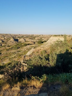 20170730_192337.jpg