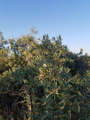 20170730_193003.jpg