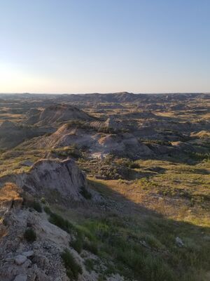 20170730_193058.jpg