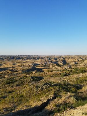 20170730_193103.jpg