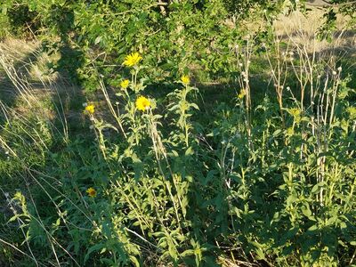 20170730_193140.jpg