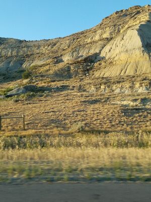 20170730_194604.jpg