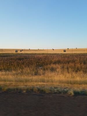 20170730_200402.jpg