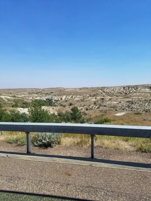 20170731_104359.jpg