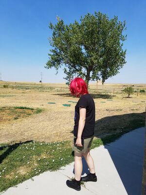 20170731_113125.jpg