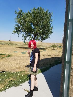 20170731_113130.jpg