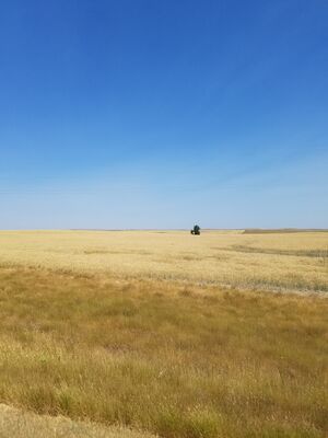 20170731_113512.jpg