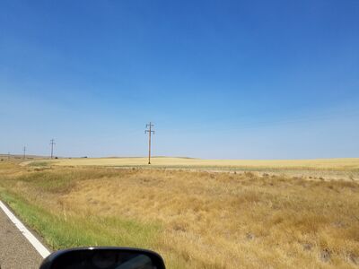 20170731_113531.jpg