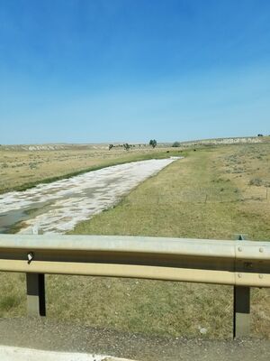 20170731_114244.jpg