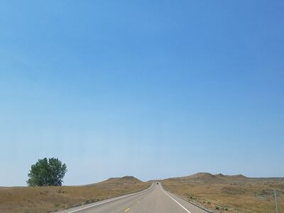 20170731_123227.jpg
