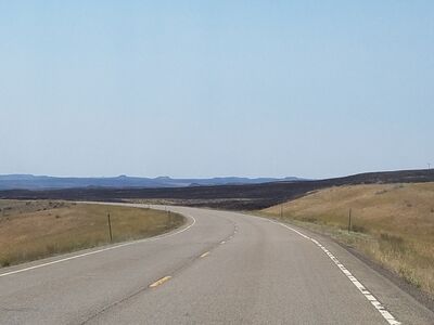 20170731_124021.jpg