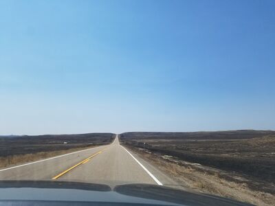 20170731_124137.jpg