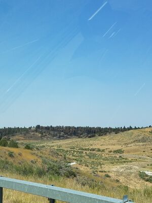 20170731_125033.jpg