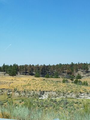 20170731_125052.jpg