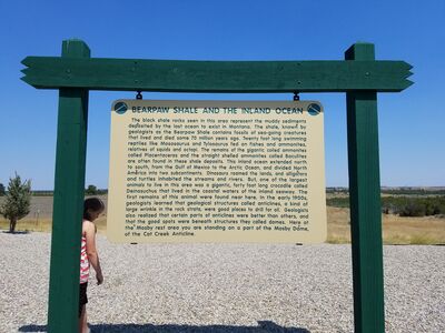 20170731_125810.jpg