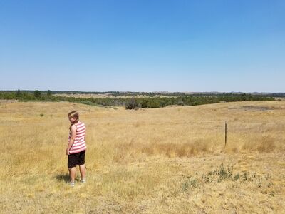 20170731_125912.jpg
