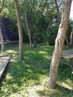20170731_161800.jpg