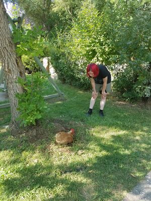 20170731_165810.jpg