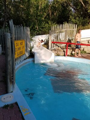 20170731_183443.jpg