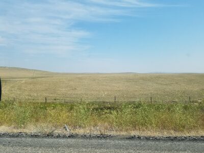 20170801_114107.jpg