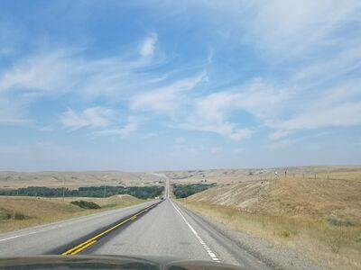 20170801_114301.jpg