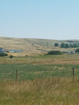 20170801_114345.jpg
