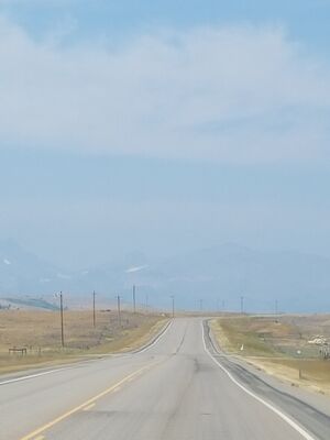 20170801_120116.jpg