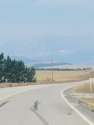 20170801_120417.jpg