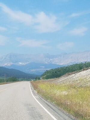 20170801_120911.jpg