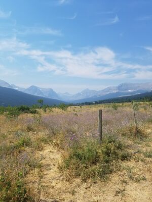 20170801_121327.jpg