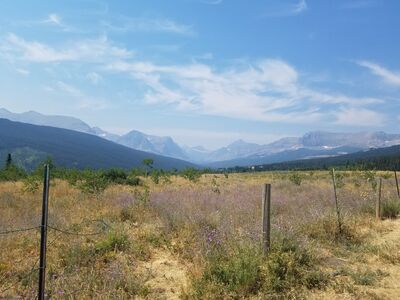 20170801_121334.jpg