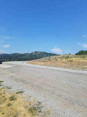 20170801_121441.jpg